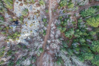 19.3 acres located in Hancock, Maine. This centrally situated - photo 16