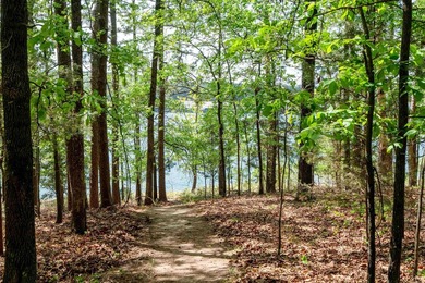 Lakefront, lake view, and lake access! Charming 3BR/2BA home - photo 32