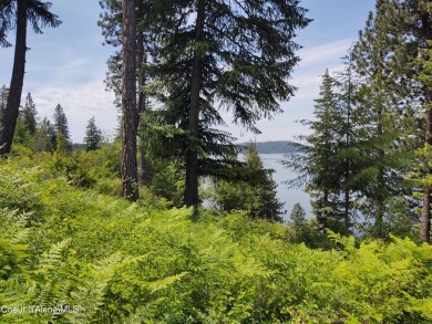 Lake Acreage For Sale in Harrison, Idaho