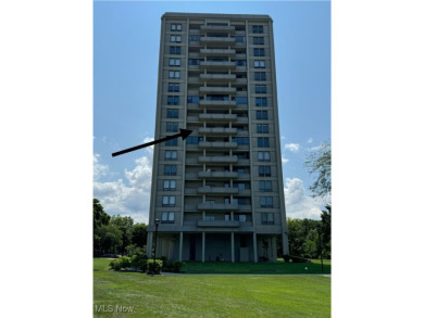 Lake Erie - Cuyahoga County Condo For Sale in Bratenahl Ohio