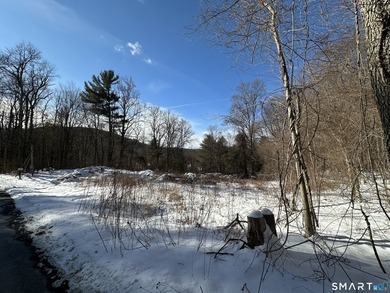 This property is located in close proximity to Ski Sundown and - photo 2
