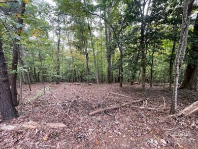 Pee Dee River Lot For Sale in Troy North Carolina