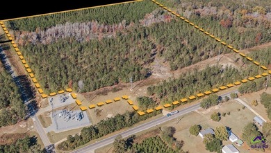 (private lake, pond, coastal) Acreage For Sale in Roberta Georgia