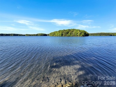 Experience luxury lakeside living in this beautifully updated - photo 21