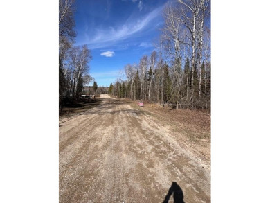 Lot 8 of East Spauldiing First Addition. This Lot is .86 acres - photo 2