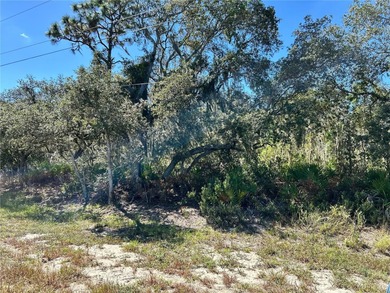 Crooked Lake Lot For Sale in Frostproof Florida