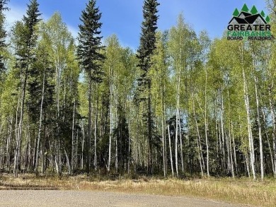 Lake Lot For Sale in North Pole, Alaska