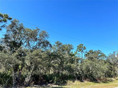 Crooked Lake Lot For Sale in Frostproof Florida