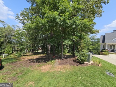 Lake Lot For Sale in Toccoa, Georgia