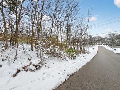 Buildable lot located in unincorporated Lake County! This - photo 13