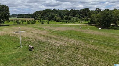 Located on 13+/- acres just south of Southside, this beautiful - photo 2