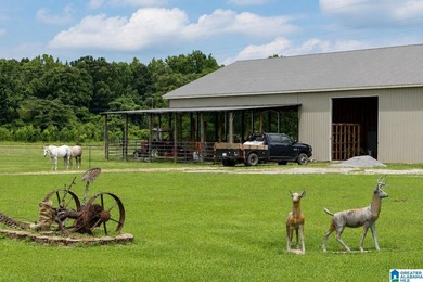 Located on 13+/- acres just south of Southside, this beautiful - photo 5