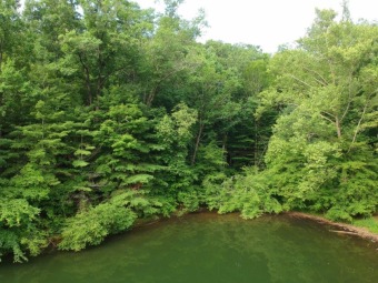 Prized Waterfront Lifestyle - Lake Lot For Sale in Robbinsville, North Carolina