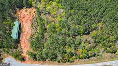 Lake Russell Acreage For Sale in Elberton Georgia