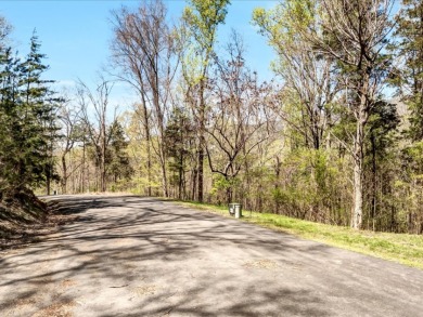 Cherokee Lakefront Lot in Gated Walnut Bend SOLD - photo 7