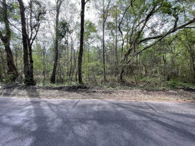 Lake Lot Sale Pending in Eutawville, South Carolina