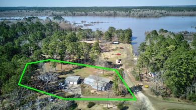Lake Home For Sale in Hemphill, Texas