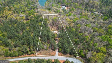 Lake Russell Acreage For Sale in Elberton Georgia