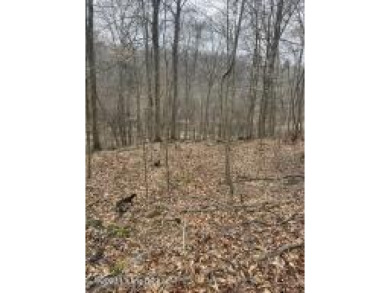Lakefront Lot For Sale - Lake Lot For Sale in Leitchfield, Kentucky