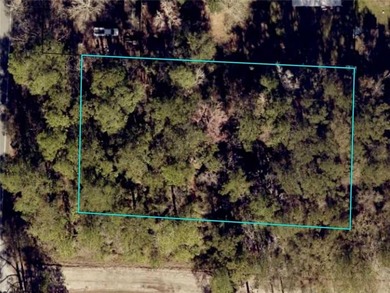 Consider this conveniently located 0.84-acre parcel in Waverly - photo 1