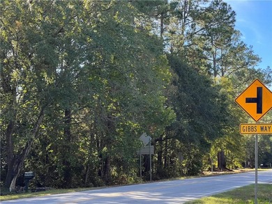 Consider this conveniently located 0.84-acre parcel in Waverly - photo 3