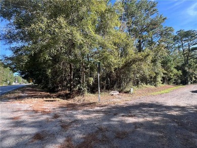 Consider this conveniently located 0.84-acre parcel in Waverly - photo 4