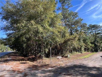 Consider this conveniently located 0.84-acre parcel in Waverly - photo 5