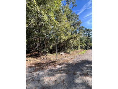 Consider this conveniently located 0.84-acre parcel in Waverly - photo 6