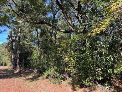 Consider this conveniently located 0.84-acre parcel in Waverly - photo 8
