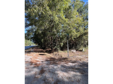 Consider this conveniently located 0.84-acre parcel in Waverly - photo 9