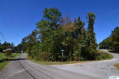 Lake Lot For Sale in Southside, Alabama