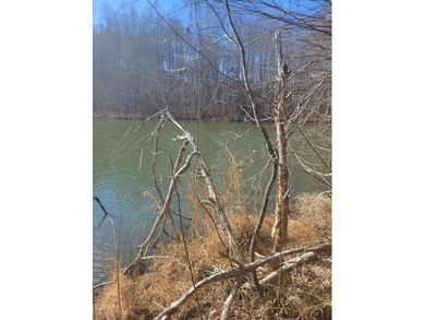 (private lake, pond, coastal) Acreage For Sale in Riceville Virginia