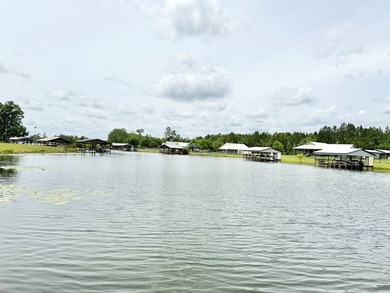 Escape to lake living on the sparkling waters of Lake Seminole! - photo 42