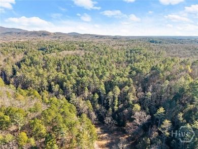 Back on Market now reduced! Introducing an exceptional North - photo 7