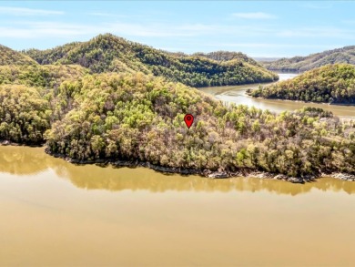 Cherokee Lakefront Lot in Gated Walnut Bend SOLD - photo 16