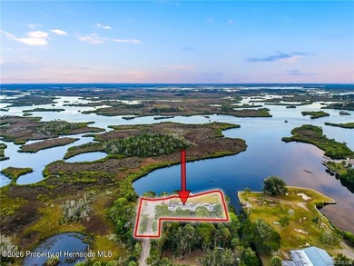 Saint Martins River Home For Sale in Crystal River Florida