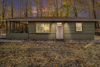 Cozy Cabin Close to Hamlin Lake! - Lake Home Sale Pending in Ludington, Michigan