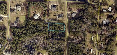 Crooked River Lot For Sale in Woodbine Georgia