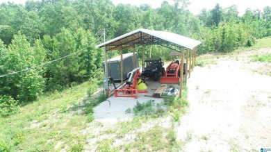 Awesome property consisting of 37.48 acres, a 20 x 40 pole barn - photo 2