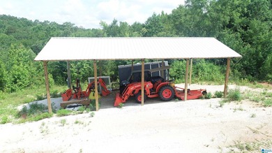 Awesome property consisting of 37.48 acres, a 20 x 40 pole barn - photo 3