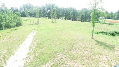 Awesome property consisting of 37.48 acres, a 20 x 40 pole barn - photo 8