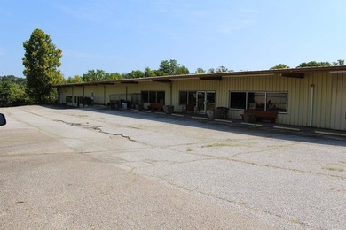 Great commercial property at 112 Hwy 270 W, Mount Ida, AR. This - photo 28