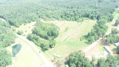 Awesome property consisting of 37.48 acres, a 20 x 40 pole barn - photo 9