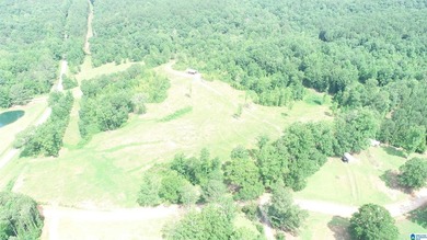 Awesome property consisting of 37.48 acres, a 20 x 40 pole barn - photo 10