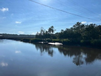 South Newport River - McIntosh County Acreage For Sale in Townsend Georgia