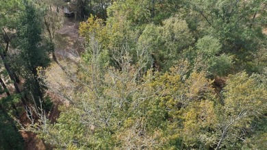 Let the days drift by on this absolutely gorgeous 0.363-acre lot - photo 5