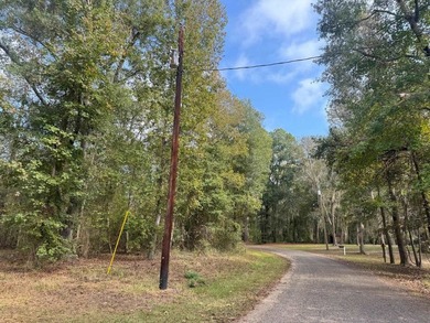 Let the days drift by on this absolutely gorgeous 0.363-acre lot - photo 6