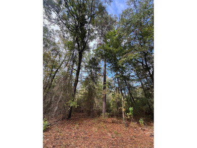 Let the days drift by on this absolutely gorgeous 0.363-acre lot - photo 7