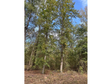 Let the days drift by on this absolutely gorgeous 0.363-acre lot - photo 8