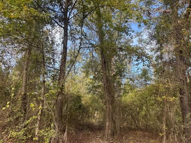 Let the days drift by on this absolutely gorgeous 0.363-acre lot - photo 9